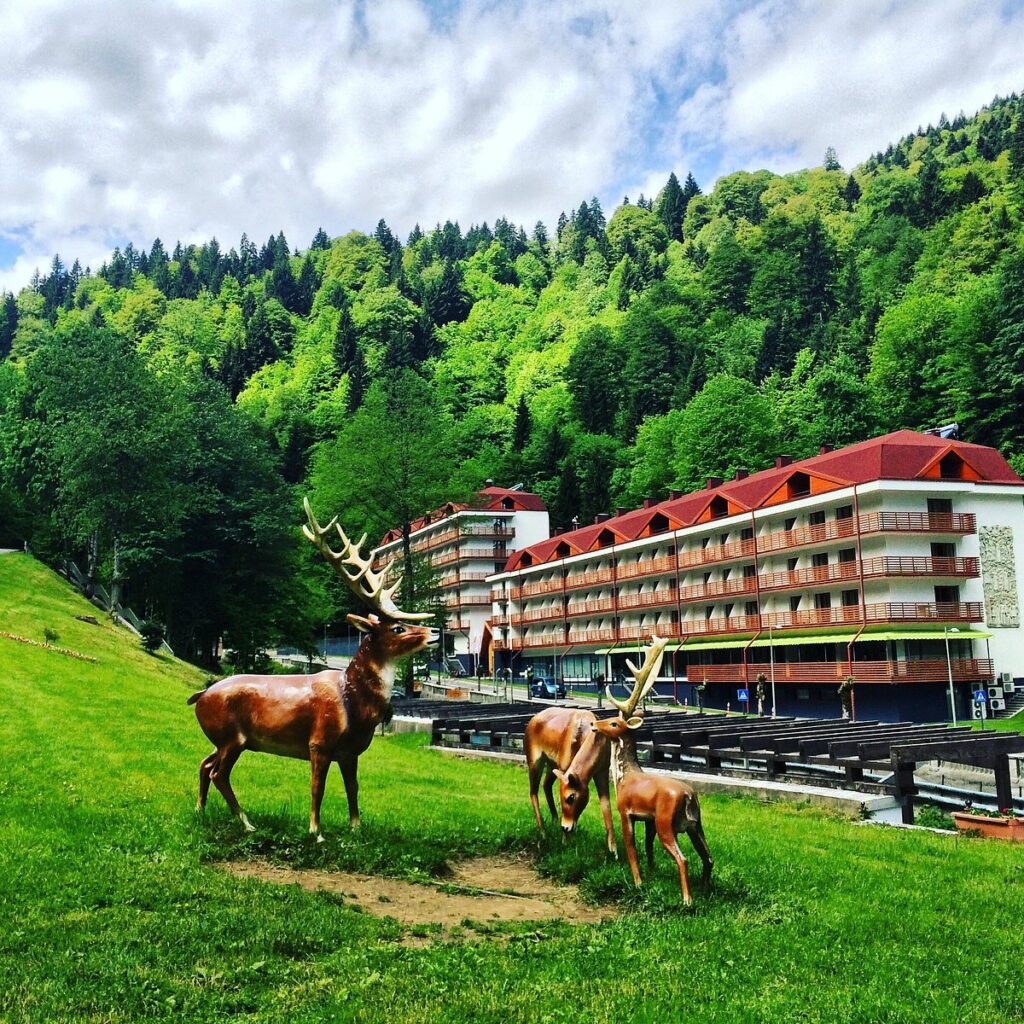 منتجع سايرمي للعلاج الطبيعي